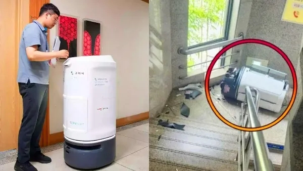 robot committed suicide in south korea