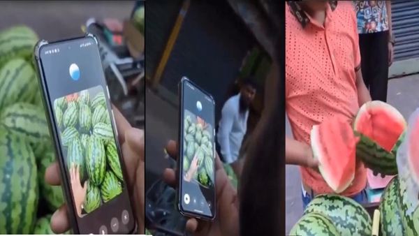 AI Picks Ripe Watermelon