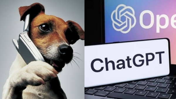 ChatGPT AI Turns Pets Human