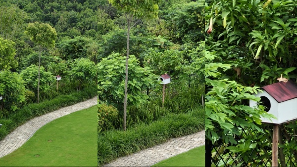 oppo reno14 5g a camera phone that finally feels designed around you