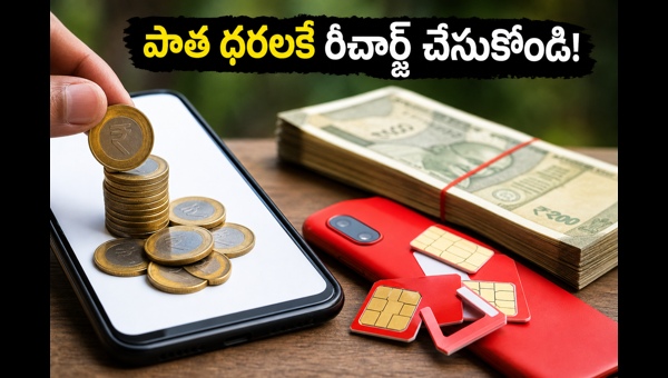 Airtel Q4 Results: Will Mobile Recharge Plan Prices Increase? Check Best 84-Day Plans Before Tariff Hike in 2026