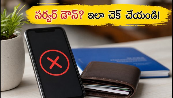 EPFO Server Down: How to Check PF Balance Offline and Stay Safe in 2026