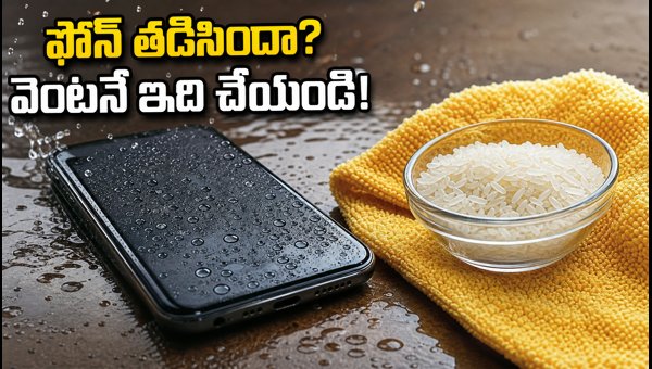 What to Do If Your Phone Gets Wet in Rain: Essential Tips to Save Data and Prevent Damage (2026)
