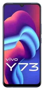 Vivo Y73